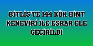 Bitlis'te 144 kök Hint keneviri ile esrar ele geçirildi