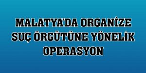 Malatya'da organize suç örgütüne yönelik operasyon