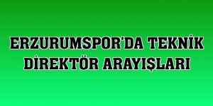 Erzurumspor'da teknik direktör arayışları