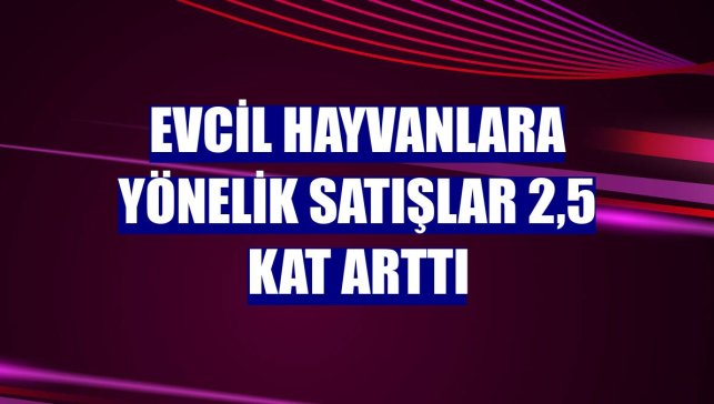 Evcil hayvanlara yönelik satışlar 2,5 kat arttı