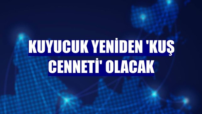 Kuyucuk yeniden 'kuş cenneti' olacak