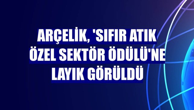 Arçelik, 'Sıfır Atık Özel Sektör Ödülü'ne layık görüldü