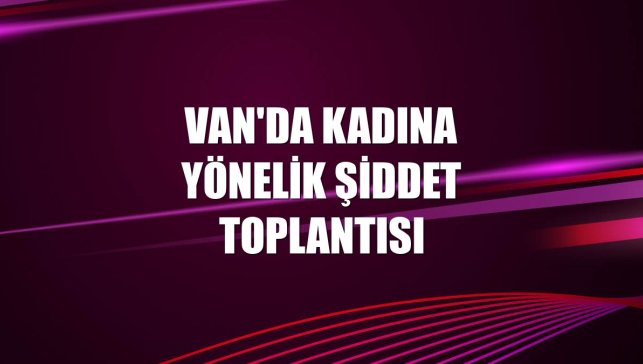 Van'da kadına yönelik şiddet toplantısı