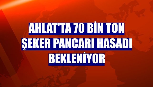 Ahlat'ta 70 bin ton şeker pancarı hasadı bekleniyor