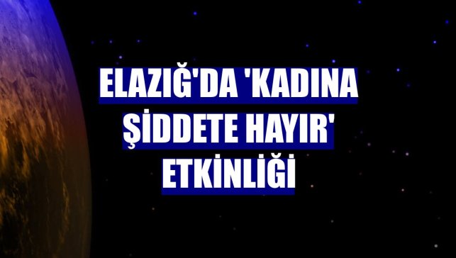 Elazığ'da 'Kadına Şiddete Hayır' etkinliği