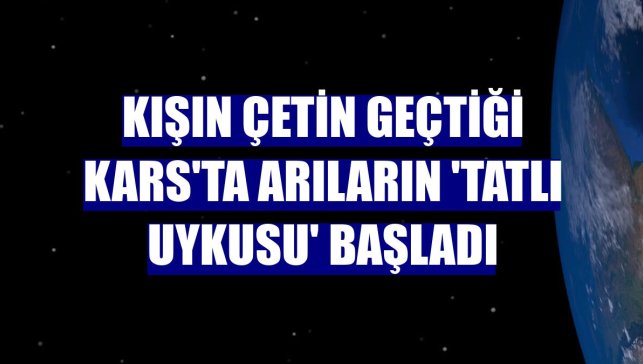 Kışın çetin geçtiği Kars'ta arıların 'tatlı uykusu' başladı