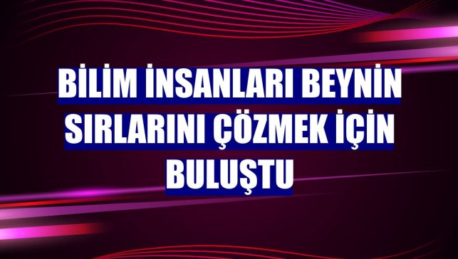 Bilim insanları beynin sırlarını çözmek için buluştu