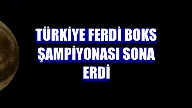 Türkiye Ferdi Boks Şampiyonası sona erdi