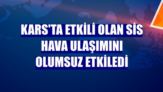 Kars'ta etkili olan sis hava ulaşımını olumsuz etkiledi