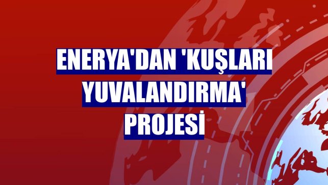 Enerya'dan 'Kuşları Yuvalandırma' projesi