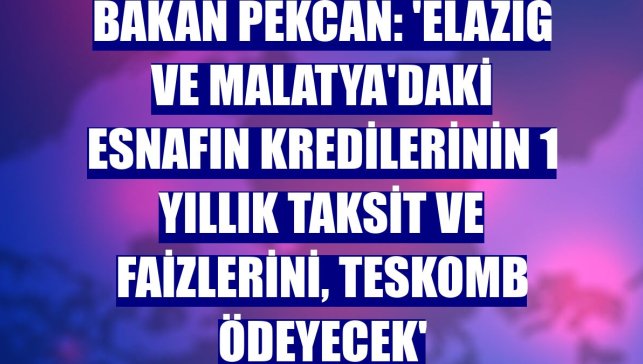 Bakan Pekcan: 'Elazığ ve Malatya'daki esnafın kredilerinin 1 yıllık taksit ve faizlerini, TESKOMB ödeyecek'