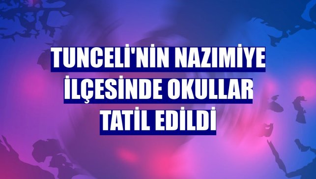 Tunceli'nin Nazımiye ilçesinde okullar tatil edildi