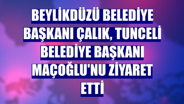 Beylikdüzü Belediye Başkanı Çalık, Tunceli Belediye Başkanı Maçoğlu'nu ziyaret etti