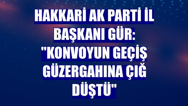 Hakkari AK Parti İl Başkanı Gür: "Konvoyun geçiş güzergahına çığ düştü"