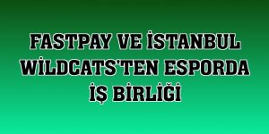 fastPay ve İstanbul Wildcats'ten esporda iş birliği