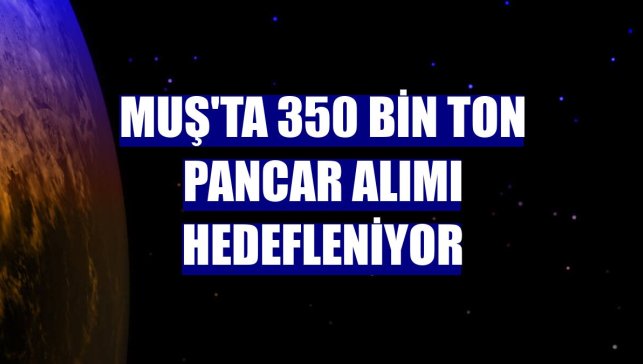 Muş'ta 350 bin ton pancar alımı hedefleniyor