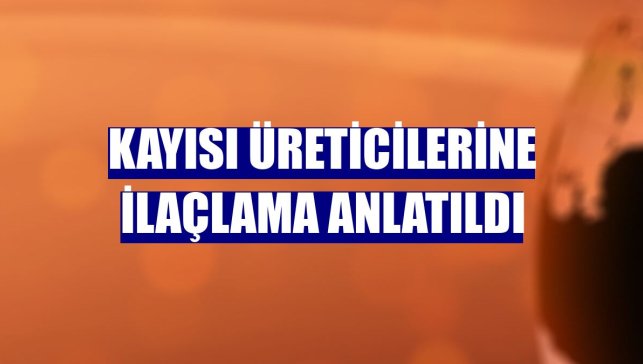 Kayısı üreticilerine ilaçlama anlatıldı