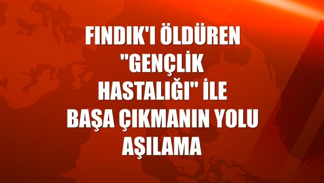 Fındık'ı öldüren "gençlik hastalığı" ile başa çıkmanın yolu aşılama