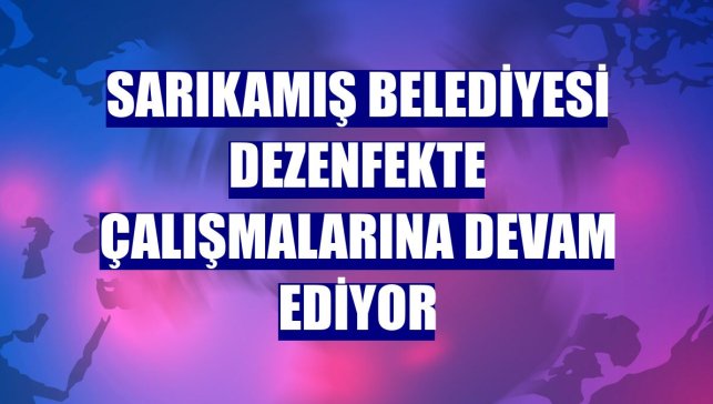 Sarıkamış Belediyesi dezenfekte çalışmalarına devam ediyor