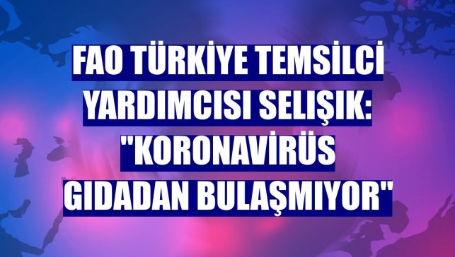 FAO Türkiye Temsilci Yardımcısı Selışık: "Koronavirüs gıdadan bulaşmıyor"