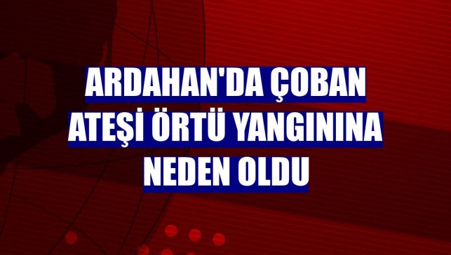 Ardahan'da çoban ateşi örtü yangınına neden oldu