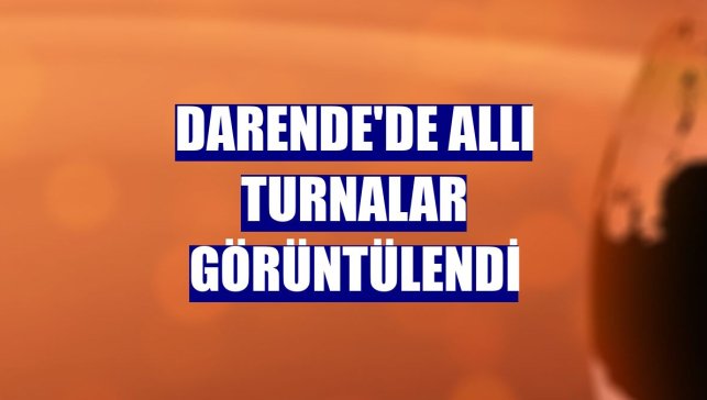 Darende'de allı turnalar görüntülendi