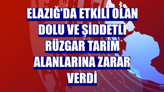 Elazığ'da etkili olan dolu ve şiddetli rüzgar tarım alanlarına zarar verdi
