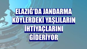 Elazığ'da jandarma köylerdeki yaşlıların ihtiyaçlarını gideriyor
