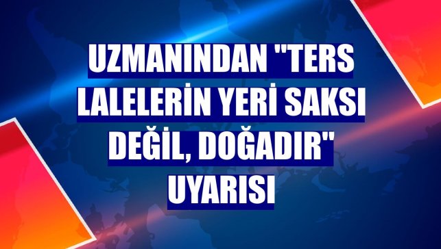 Uzmanından "Ters lalelerin yeri saksı değil, doğadır" uyarısı
