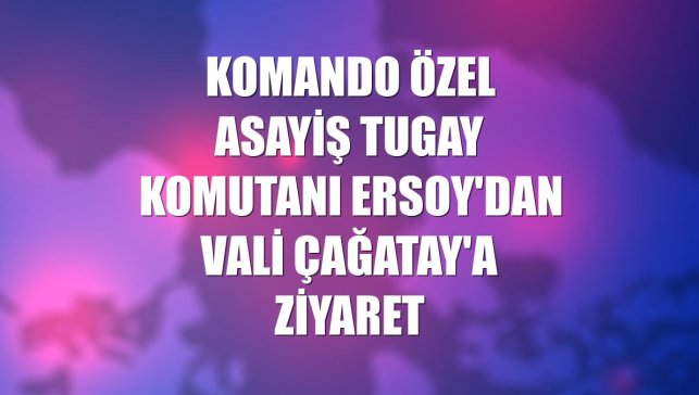 Komando Özel Asayiş Tugay Komutanı Ersoy'dan Vali Çağatay'a ziyaret