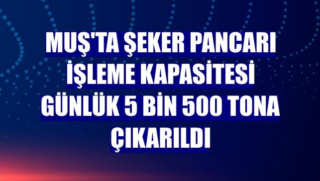 Muş'ta şeker pancarı işleme kapasitesi günlük 5 bin 500 tona çıkarıldı
