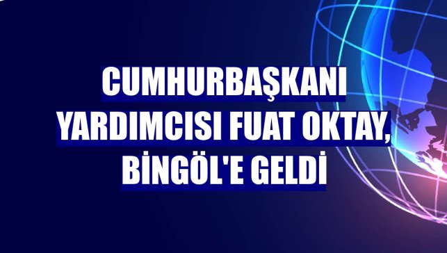 Cumhurbaşkanı Yardımcısı Fuat Oktay, Bingöl'e geldi