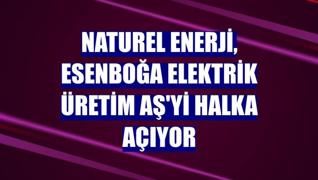Naturel Enerji, Esenboğa Elektrik Üretim AŞ'yi halka açıyor