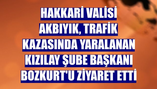 Hakkari Valisi Akbıyık, trafik kazasında yaralanan Kızılay Şube Başkanı Bozkurt'u ziyaret etti