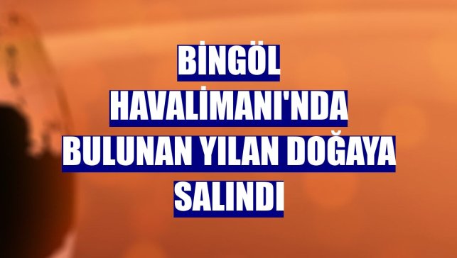 Bingöl Havalimanı'nda bulunan yılan doğaya salındı