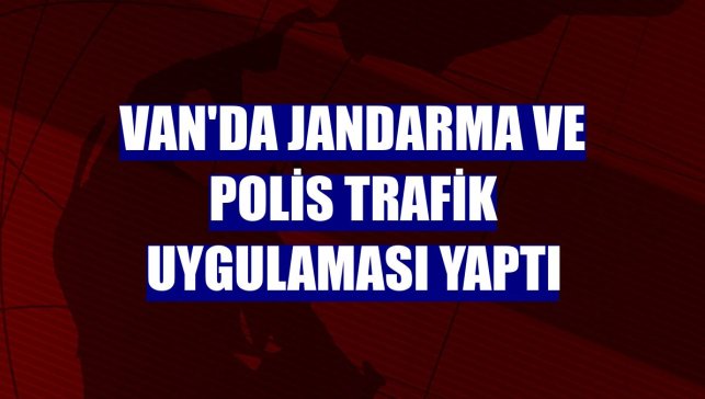Van'da jandarma ve polis trafik uygulaması yaptı