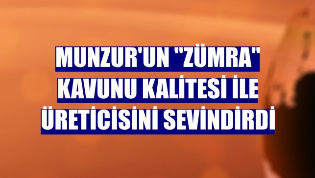 Munzur'un "Zümra" kavunu kalitesi ile üreticisini sevindirdi