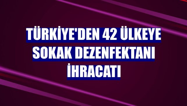 Türkiye'den 42 ülkeye sokak dezenfektanı ihracatı