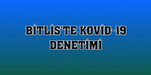 Bitlis'te Kovid-19 denetimi
