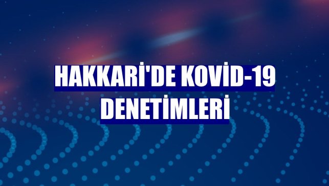 Hakkari'de Kovid-19 denetimleri