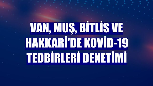 Van, Muş, Bitlis ve Hakkari'de Kovid-19 tedbirleri denetimi