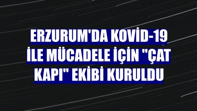 Erzurum'da Kovid-19 ile mücadele için "çat kapı" ekibi kuruldu