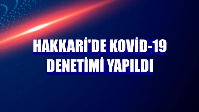 Hakkari'de Kovid-19 denetimi yapıldı