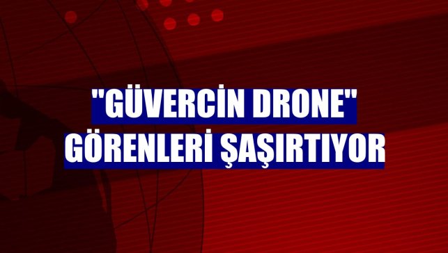 "Güvercin drone" görenleri şaşırtıyor