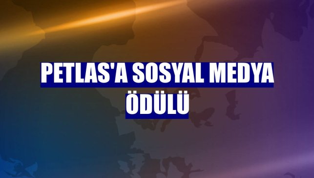 Petlas'a sosyal medya ödülü