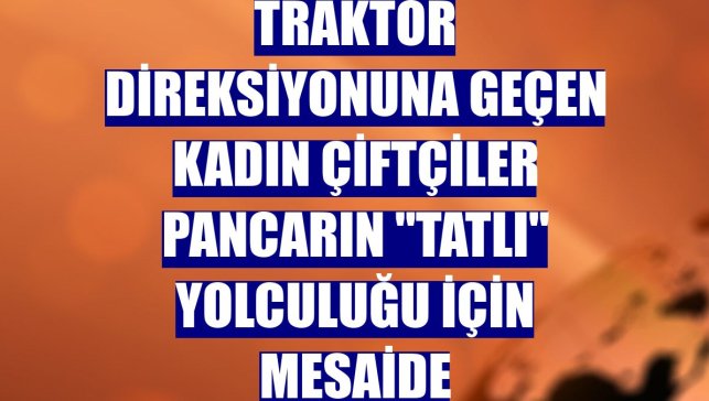 Traktör direksiyonuna geçen kadın çiftçiler pancarın "tatlı" yolculuğu için mesaide