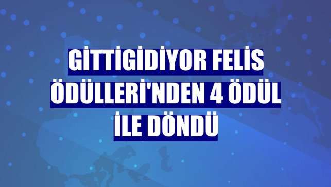Gittigidiyor Felis Ödülleri'nden 4 ödül ile döndü