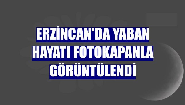Erzincan'da yaban hayatı fotokapanla görüntülendi