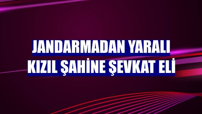 Jandarmadan yaralı kızıl şahine şevkat eli