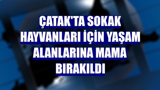 Çatak'ta sokak hayvanları için yaşam alanlarına mama bırakıldı